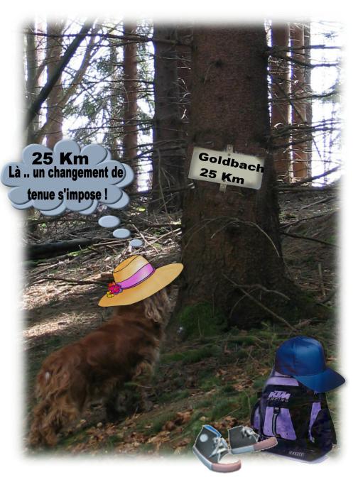 Image hébergée par Casimages.com : votre hébergeur d images simple et gratuit