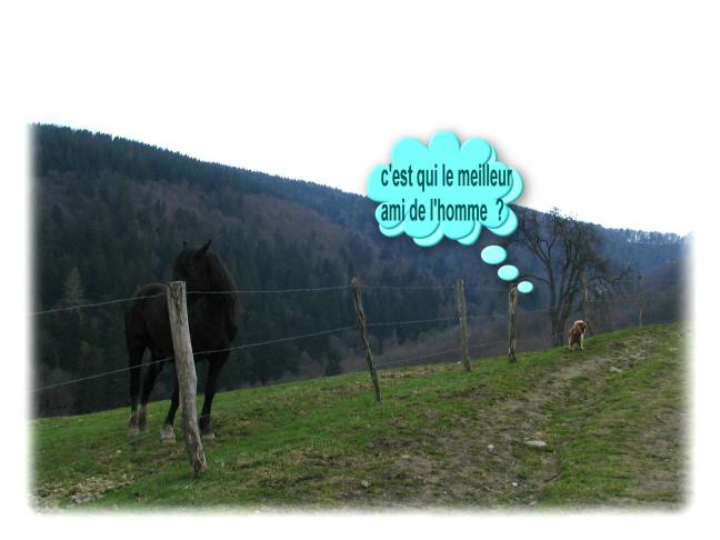 Image hébergée par Casimages.com : votre hébergeur d images simple et gratuit