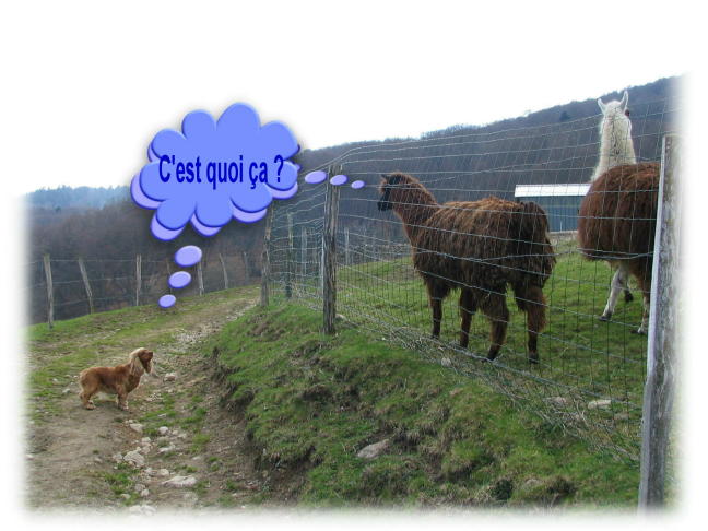 Image hébergée par Casimages.com : votre hébergeur d images simple et gratuit