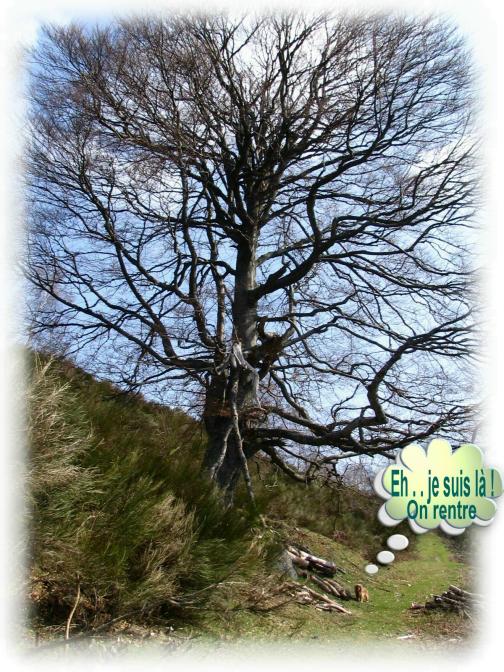 Image hébergée par Casimages.com : votre hébergeur d images simple et gratuit