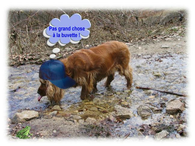 Image hébergée par Casimages.com : votre hébergeur d images simple et gratuit