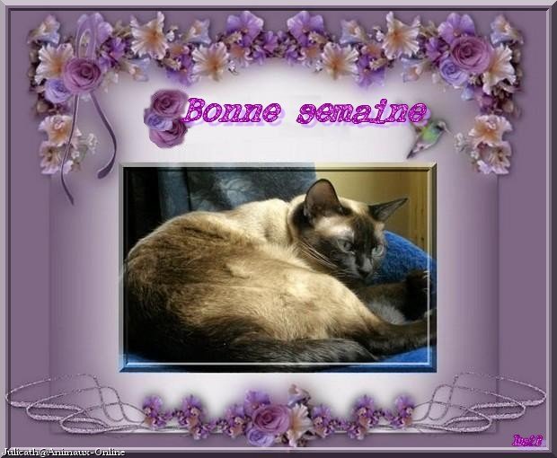 Image h&eacute;berg&eacute;e par Casimages.com : votre h&eacute;bergeur d images simple et gratuit