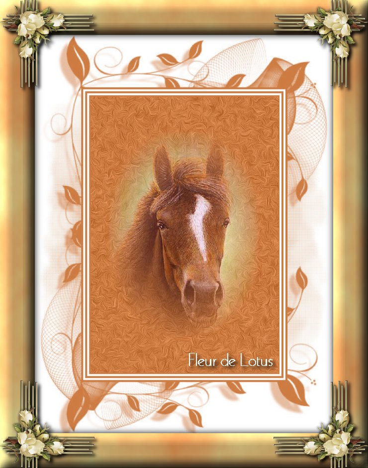 Image hébergée par Casimages.com : votre hébergeur d images simple et gratuit