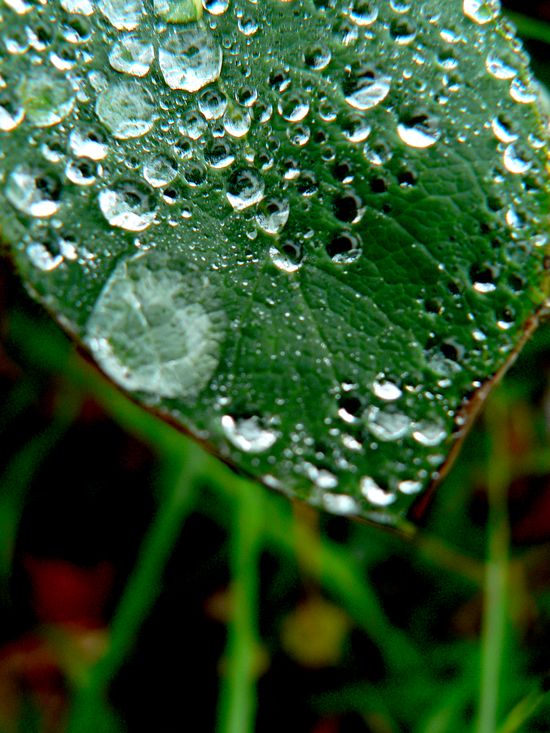 Image h&eacute;berg&eacute;e par Casimages.com : votre h&eacute;bergeur d images simple et gratuit