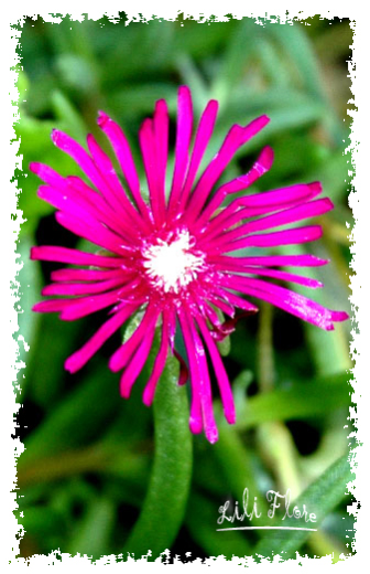 Image hébergée par Casimages.com : votre hébergeur d images simple et gratuit