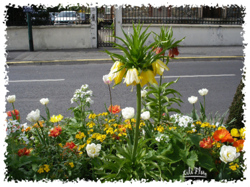 Image hébergée par Casimages.com : votre hébergeur d images simple et gratuit