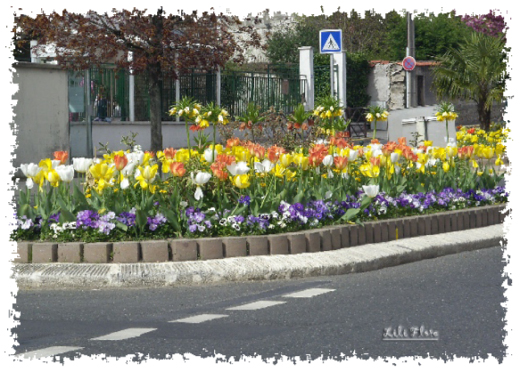 Image hébergée par Casimages.com : votre hébergeur d images simple et gratuit