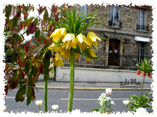 Image hébergée par Casimages.com : votre hébergeur d images simple et gratuit