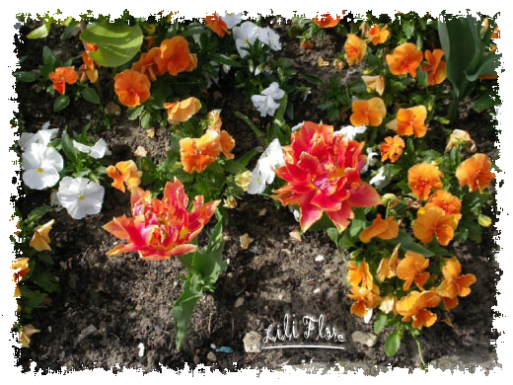Image hébergée par Casimages.com : votre hébergeur d images simple et gratuit