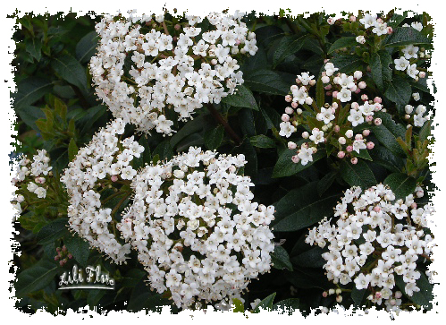 Image hébergée par Casimages.com : votre hébergeur d images simple et gratuit