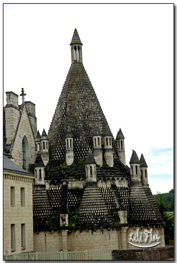 Image hébergée par Casimages.com : votre hébergeur d images simple et gratuit