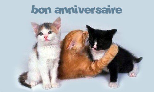 Image hébergée par Casimages.com : votre hébergeur d images simple et gratuit