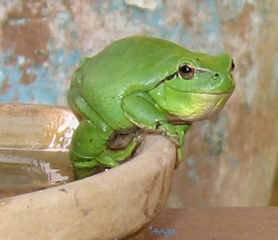 Image hébergée par Casimages.com : votre hébergeur d images simple et gratuit