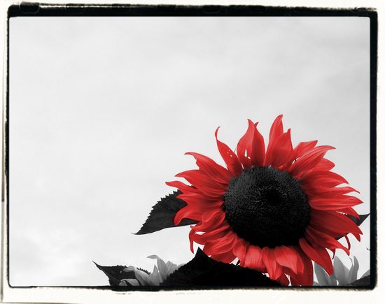 Image h&eacute;berg&eacute;e par Casimages.com : votre h&eacute;bergeur d images simple et gratuit