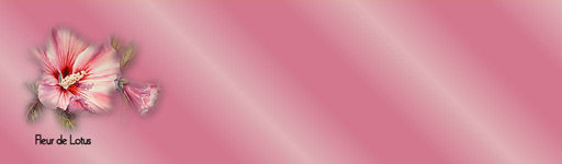 Image hébergée par Casimages.com : votre hébergeur d images simple et gratuit