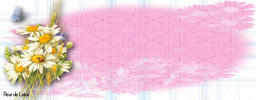 Image hébergée par Casimages.com : votre hébergeur d images simple et gratuit