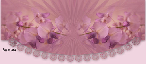 Image hébergée par Casimages.com : votre hébergeur d images simple et gratuit