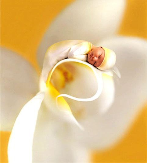 Image hébergée par Casimages.com : votre hébergeur d images simple et gratuit