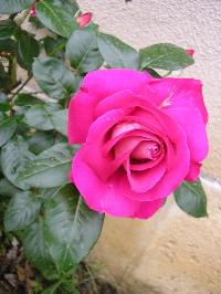Hebergement gratuit d image et photo