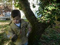 Hebergement gratuit d image et photo