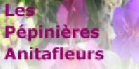 Hebergement gratuit d image et photo
