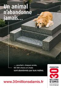 Hebergement gratuit d image et photo