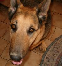 Hebergement gratuit d image et photo