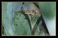 Hebergement gratuit d image et photo