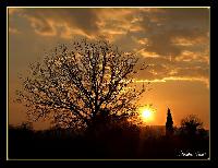 Hebergement gratuit d image et photo