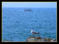 Hebergement gratuit d image et photo