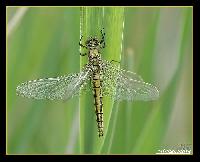 Hebergement gratuit d image et photo