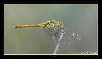Hebergement gratuit d image et photo