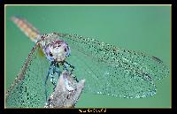 Hebergement gratuit d image et photo