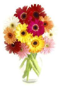 Hebergement gratuit d image et photo