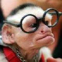 Hebergement gratuit d image et photo