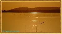 Hebergement gratuit d image et photo