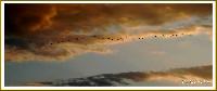 Hebergement gratuit d image et photo