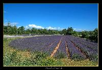Hebergement gratuit d image et photo