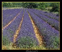 Hebergement gratuit d image et photo