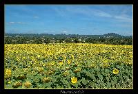Hebergement gratuit d image et photo