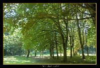 Hebergement gratuit d image et photo