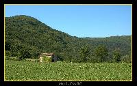 Hebergement gratuit d image et photo