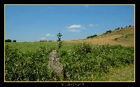Hebergement gratuit d image et photo