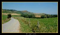 Hebergement gratuit d image et photo
