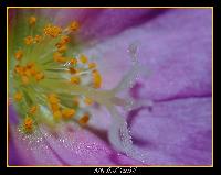 Hebergement gratuit d image et photo