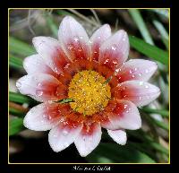 Hebergement gratuit d image et photo