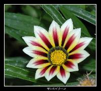 Hebergement gratuit d image et photo