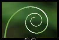 Hebergement gratuit d image et photo