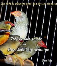 Hebergement gratuit d image et photo