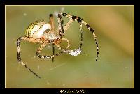 Hebergement gratuit d image et photo